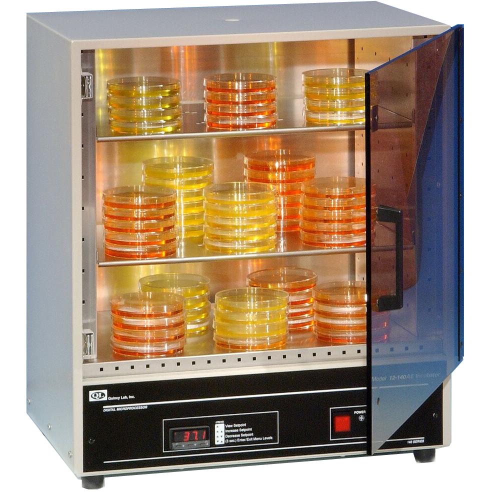 Acrylic Door Incubators, Digital, Forced-Air