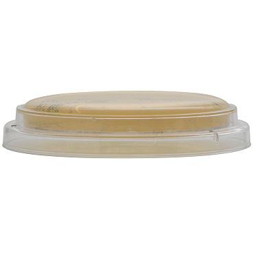Tryptic Soy Agar (TSA) with Lecithin and Tween® 80, USP, Hardy Diagnostics