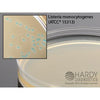 files/g317_hardychrom_listeria_web_b3ee8017-032f-4ea8-8817-8057f4990bb8.jpg