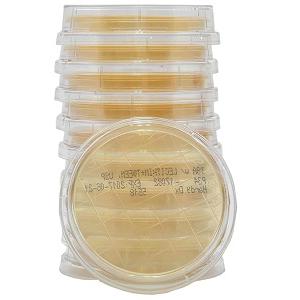 Tryptic Soy Agar (TSA) with Lecithin and Tween® 80, USP, Hardy Diagnostics