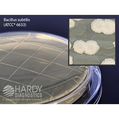 Tryptic Soy Agar (TSA) with Lecithin and Tween® 80, USP, Hardy Diagnostics