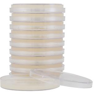 Corn Meal Agar with Tween® 80, for chlamydospores, deep fill, 15x100mm plate, Hardy Diagnostics