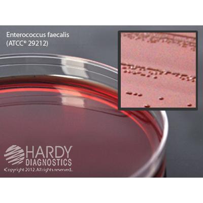 EMB Levine Agar (Eosin Methylene Blue), for culture of gram negative bacteria, 15x100mm plate, Hardy Diagnostics