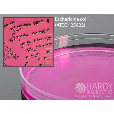 m Endo LES Agar, 15x100mm plate, Hardy Diagnostics