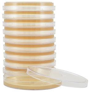 Tryptic Soy Agar (TSA), USP, 15x100mm plate, Hardy Diagnostic