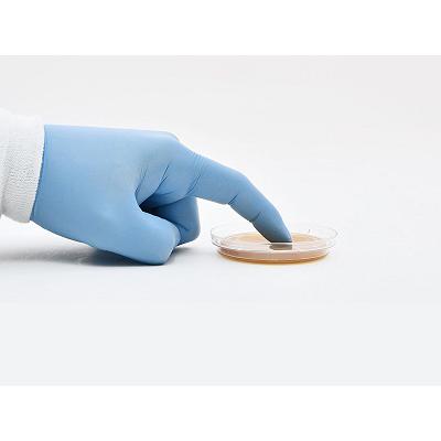 Malt Extract Agar with Lecithin and Tween, Hardy Diagnostics