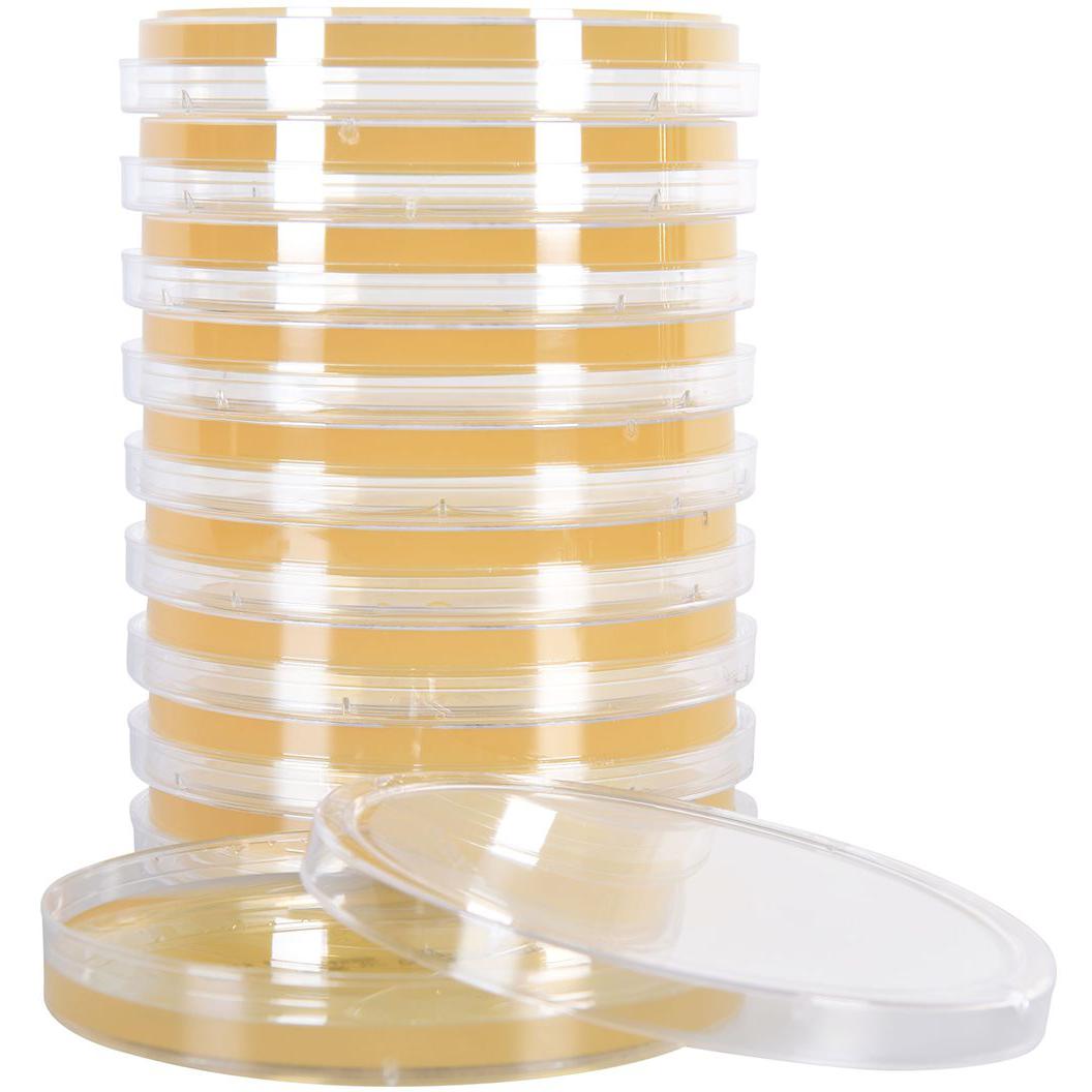 Sabdex Agar Plate with Chloramphenicol and Tetracycline, Deep Fill, 15x100mm