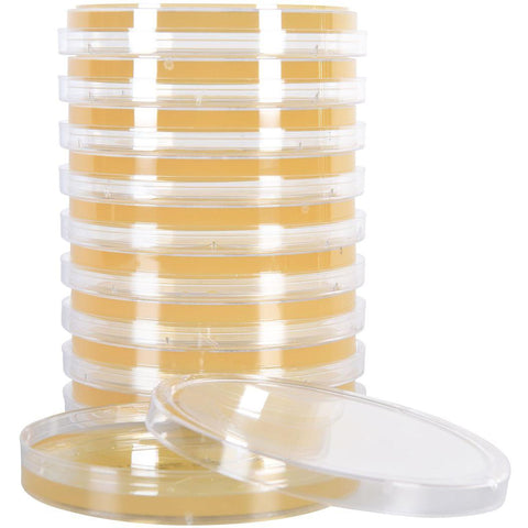 Sabdex Agar Plate with Chloramphenicol and Tetracycline, Deep Fill, 15x100mm