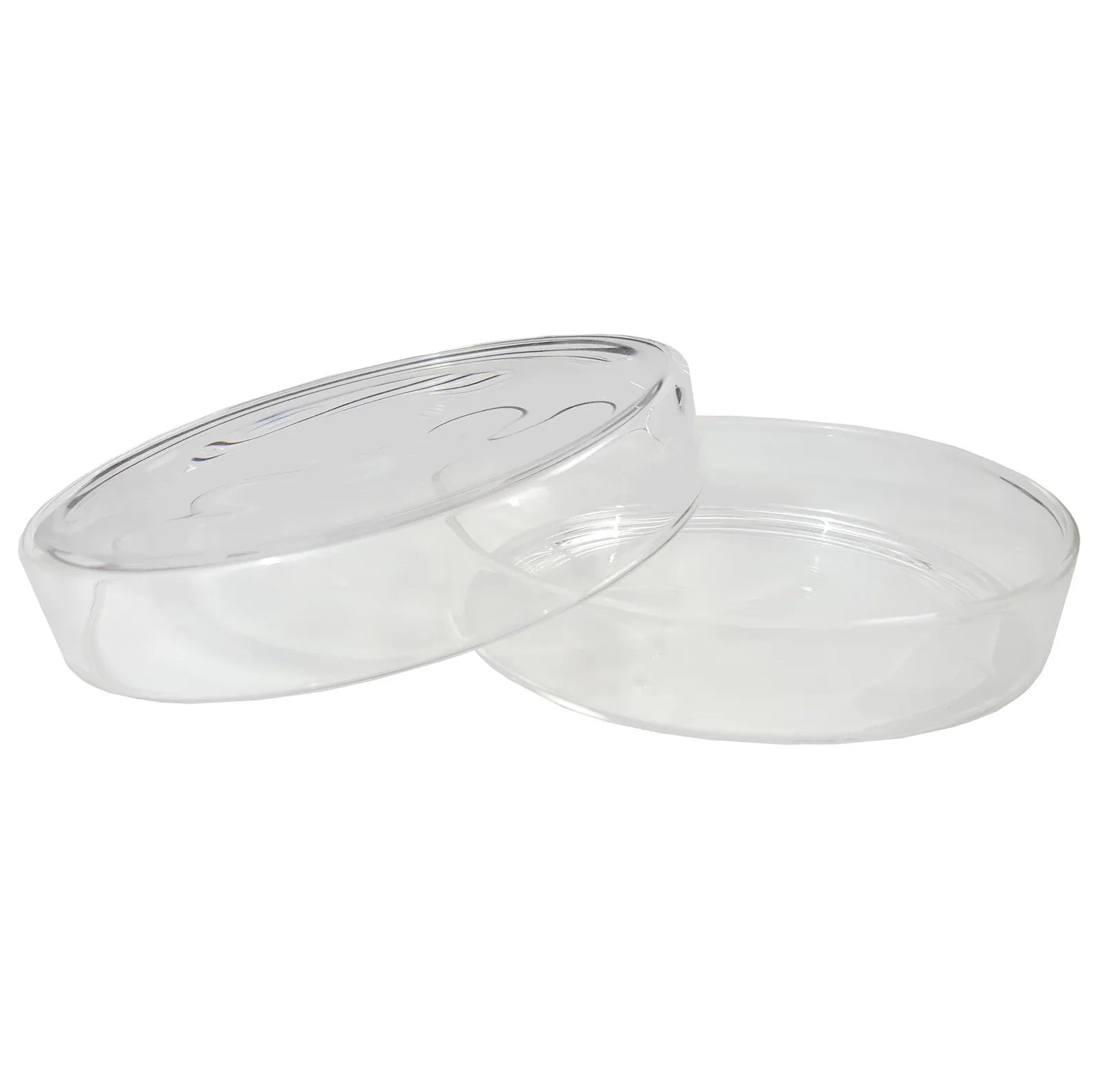 Petri Dishes, Glass