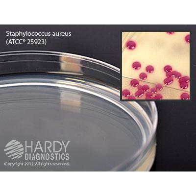 HardyCHROM&trade; Staphylococcus aureus, 15x100mm plate, Hardy Diagnostics