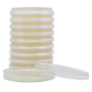 HardyCHROM&trade; ECC, a chromogenic medium for E. coli and Coliforms, 15x100mm plate, Hardy Diagnostics